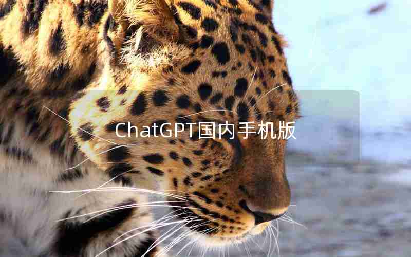 ChatGPT国内手机版