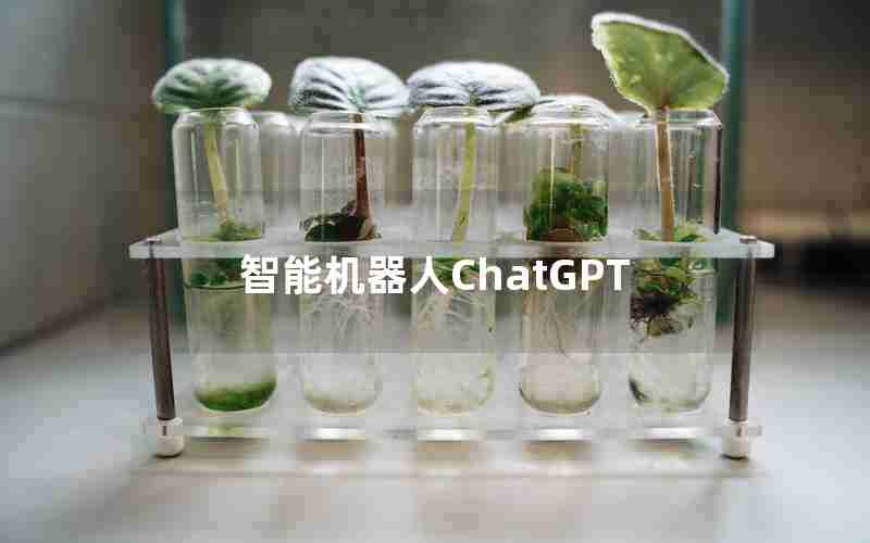 智能机器人ChatGPT