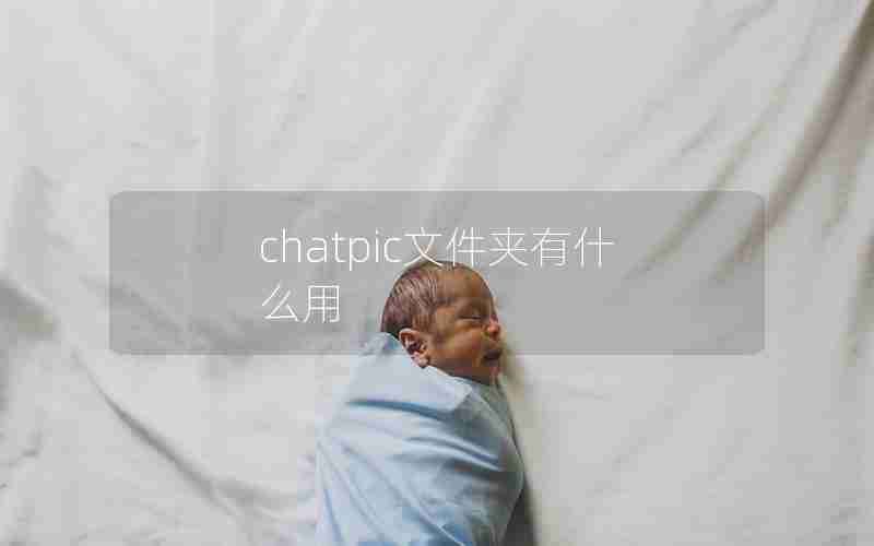 chatpic文件夹有什么用