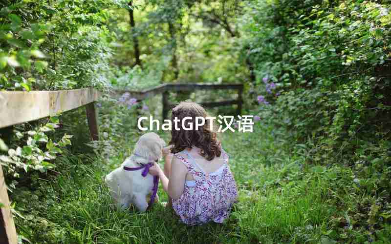 ChatGPT汉语