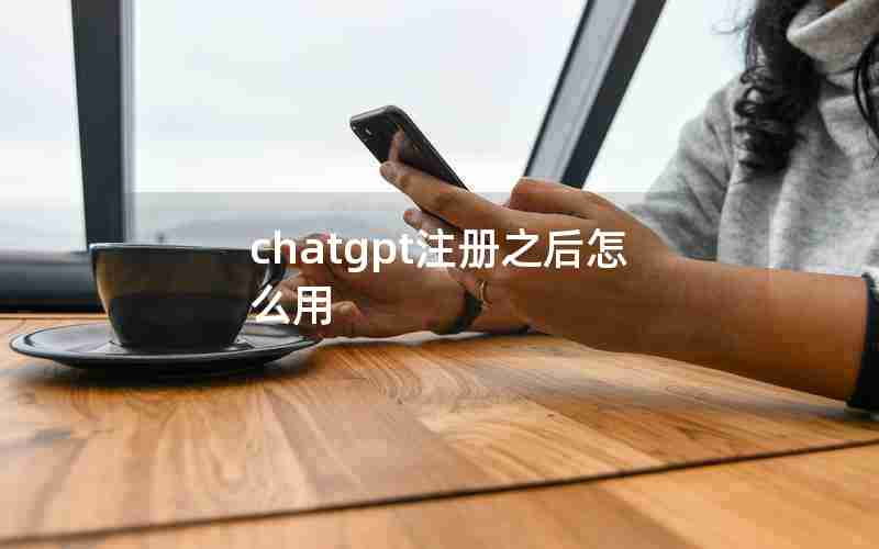 chatgpt注册之后怎么用