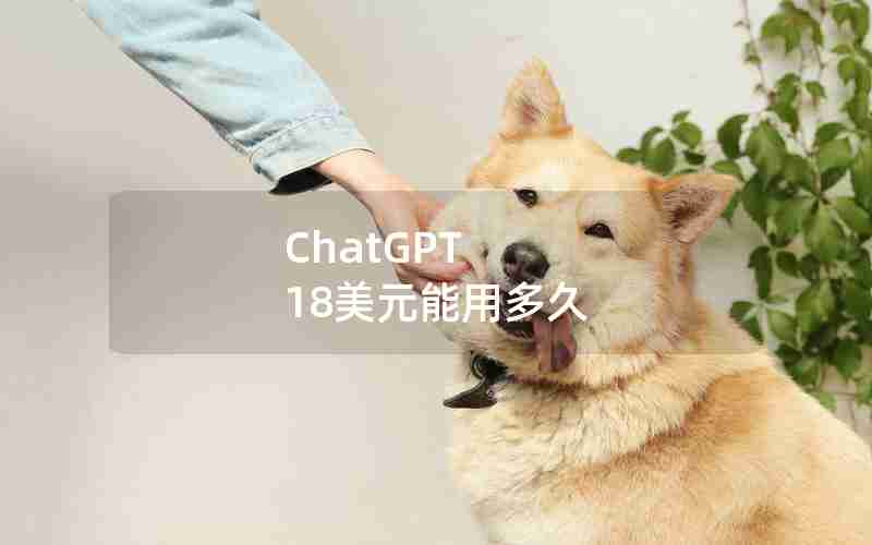 ChatGPT 18美元能用多久