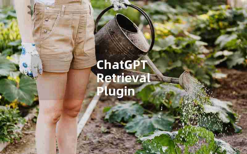 ChatGPT Retrieval Plugin