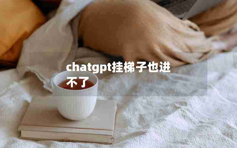 chatgpt挂梯子也进不了