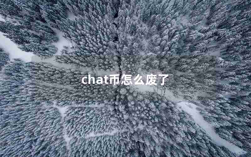 chat币怎么废了