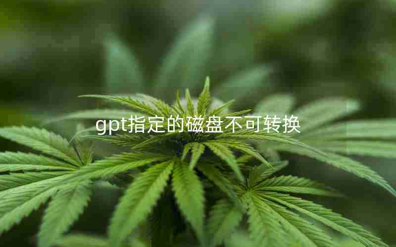 gpt指定的磁盘不可转换