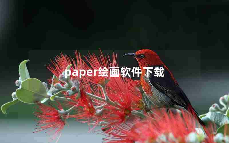 paper绘画软件下载