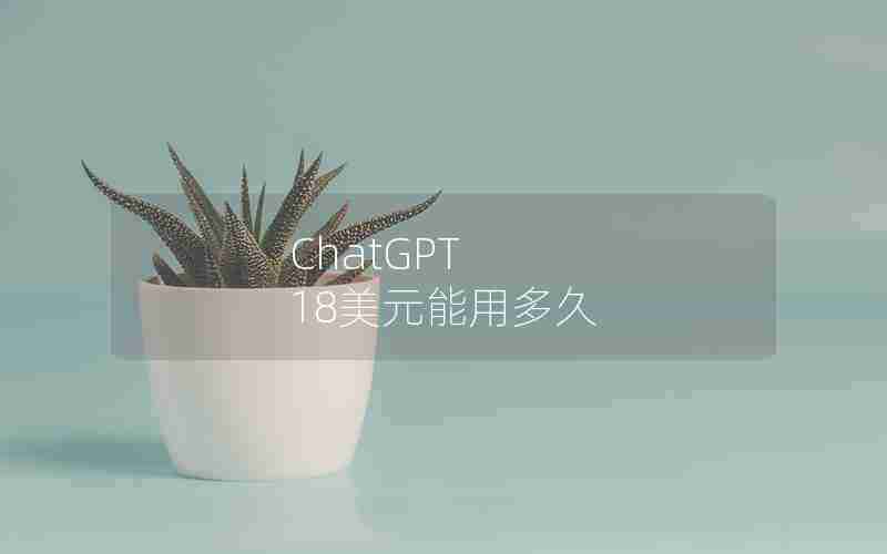 ChatGPT 18美元能用多久