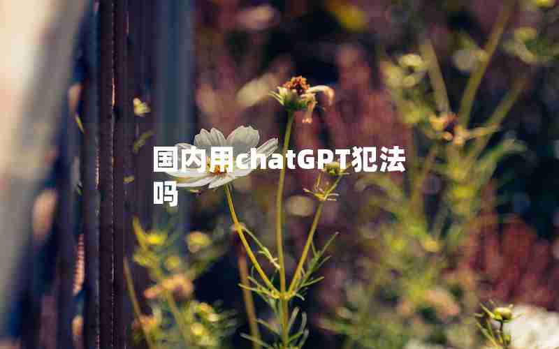 国内用chatGPT犯法吗