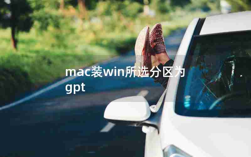 mac装win所选分区为gpt