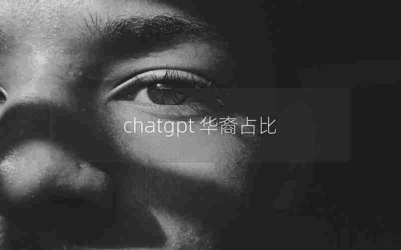 chatgpt 华裔占比