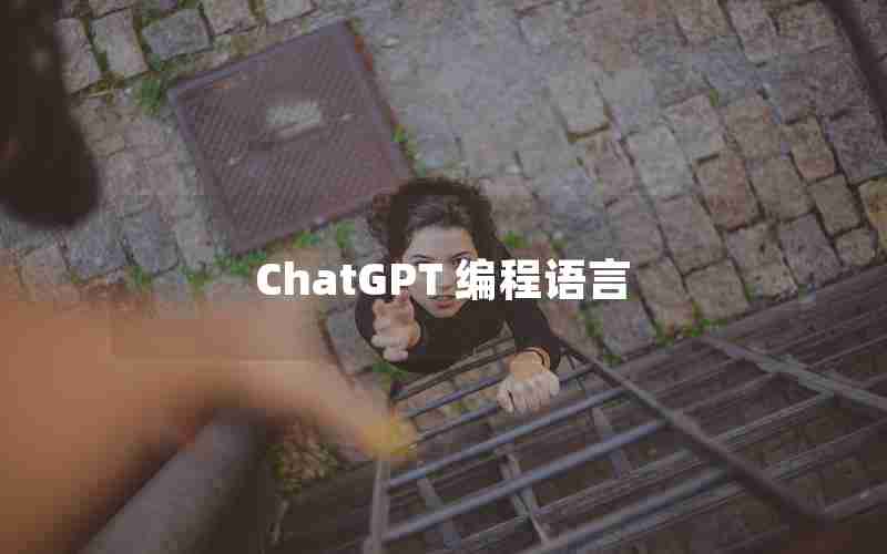 ChatGPT 编程语言