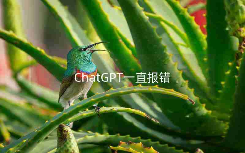 ChatGPT一直报错