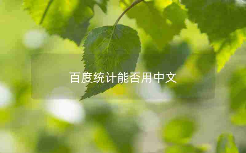 百度统计能否用中文