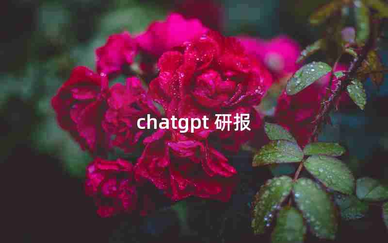 chatgpt 研报