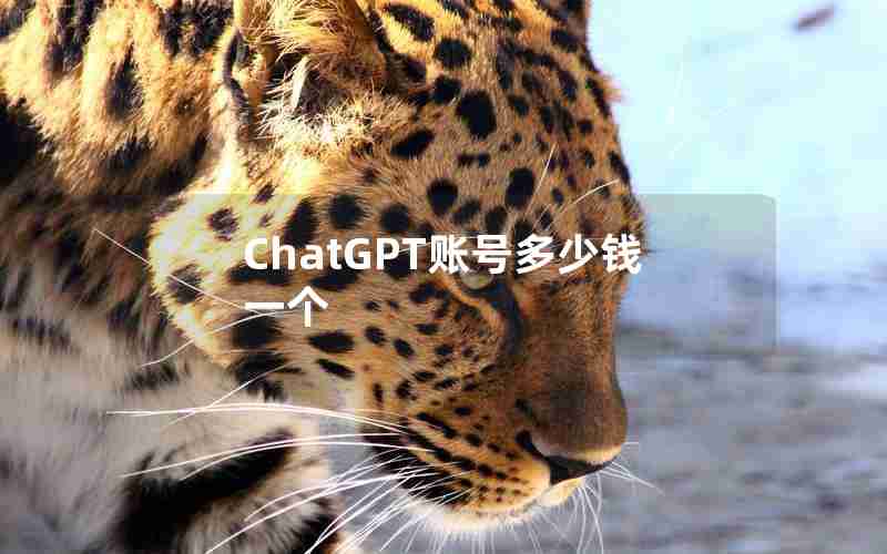 ChatGPT账号多少钱一个