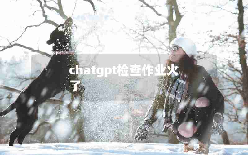 chatgpt检查作业火了