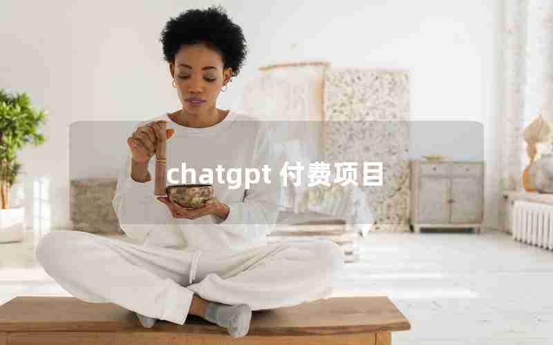 chatgpt 付费项目(chat payment)