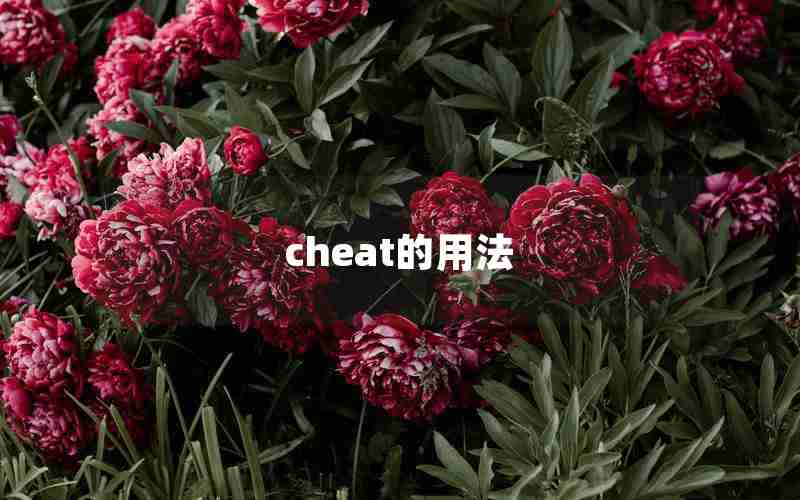 cheat的用法