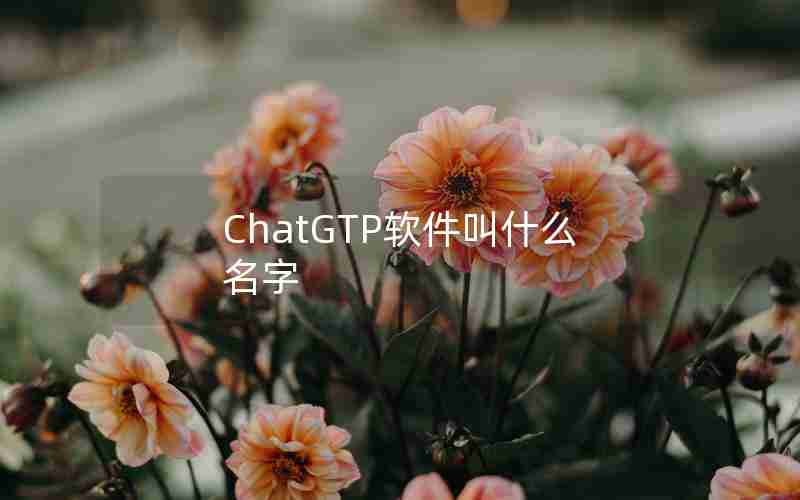 ChatGTP软件叫什么名字