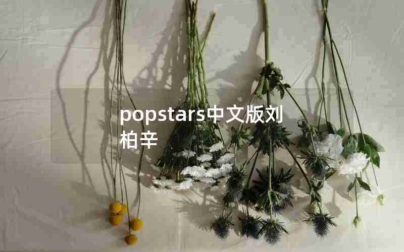 popstars中文版刘柏辛