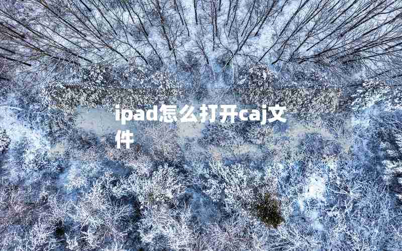 ipad怎么打开caj文件