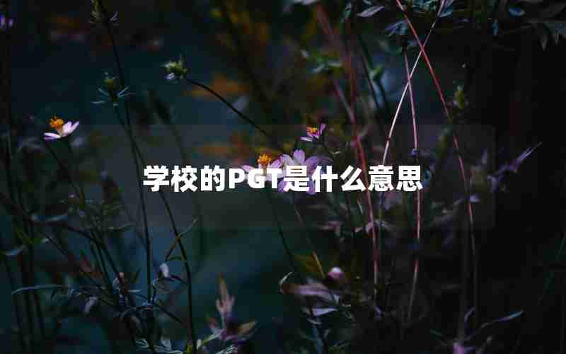 学校的PGT是什么意思