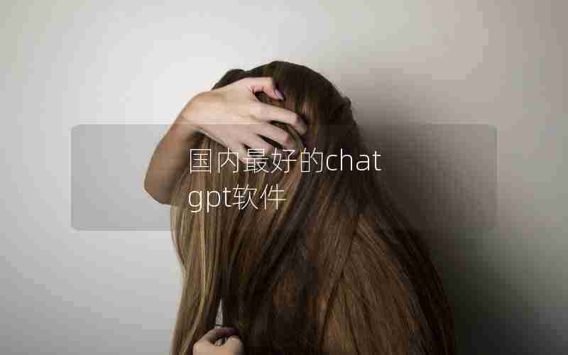 国内最好的chat gpt软件