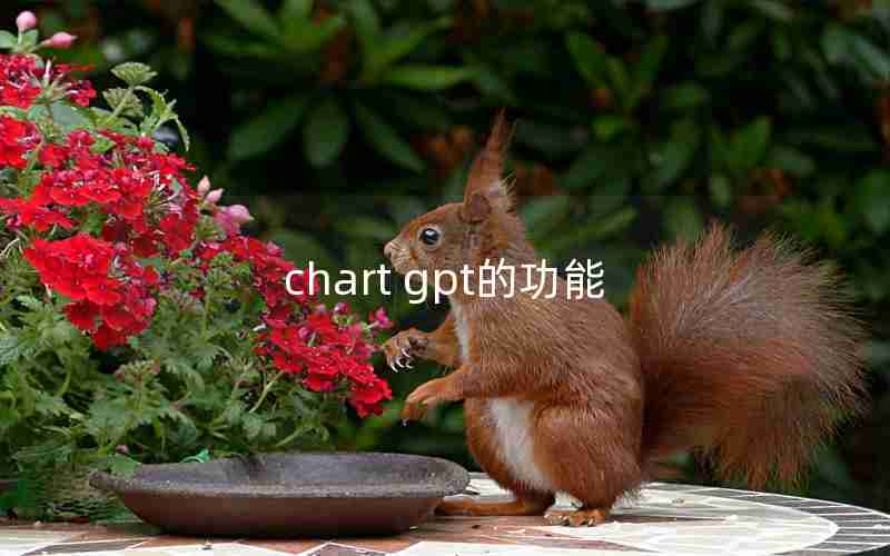 chart gpt的功能