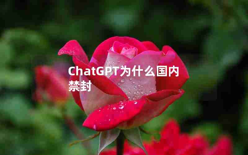 ChatGPT为什么国内禁封