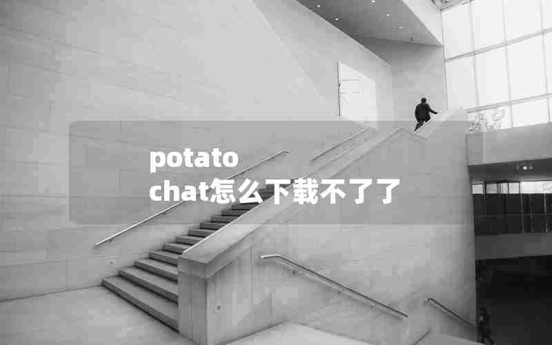 potato chat怎么下载不了了