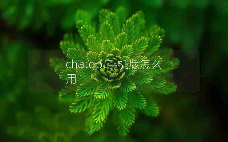 chatgpt手机版怎么用