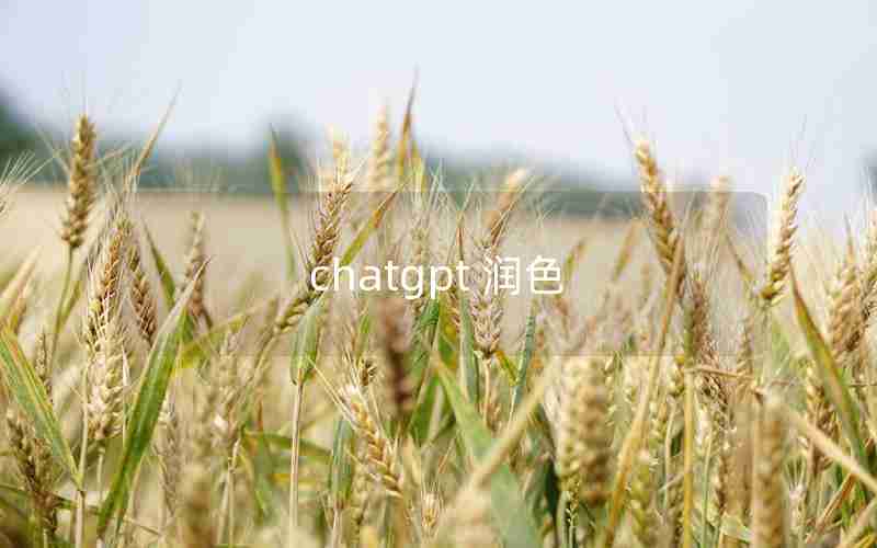 chatgpt 润色