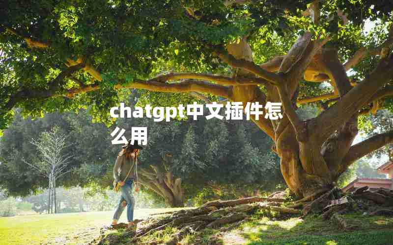 chatgpt中文插件怎么用