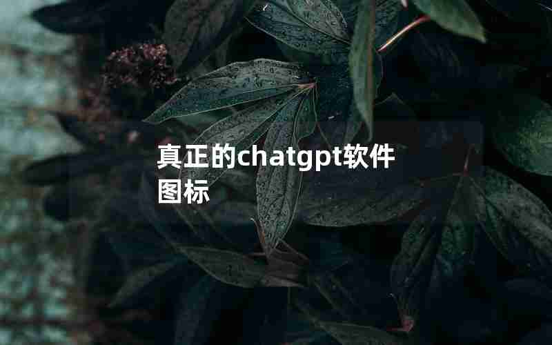 真正的chatgpt软件图标