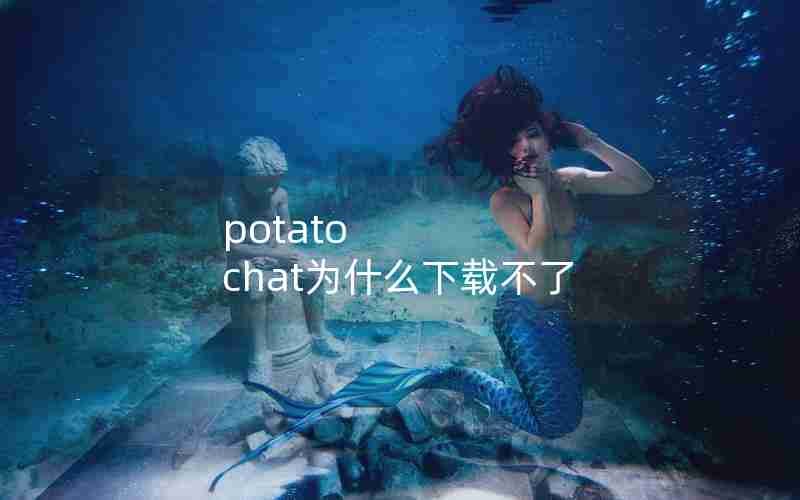 potato chat为什么下载不了