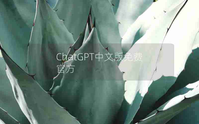 ChatGPT中文版免费官方