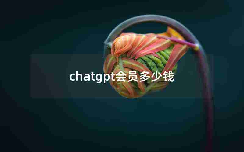 chatgpt会员多少钱