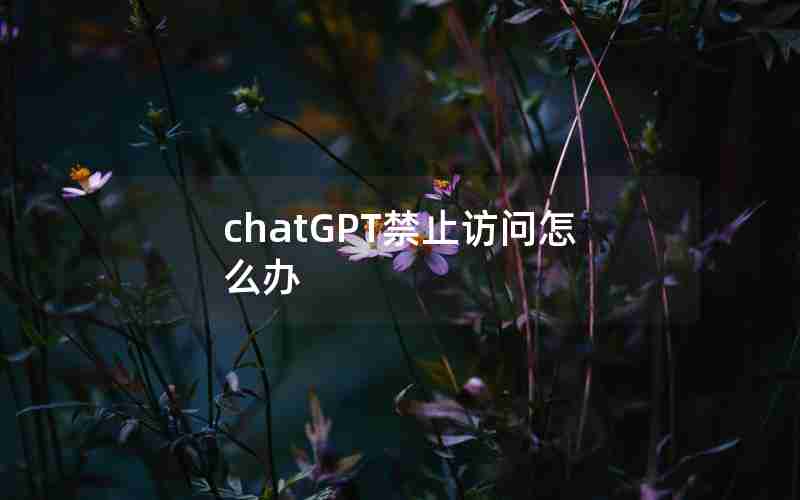 chatGPT禁止访问怎么办