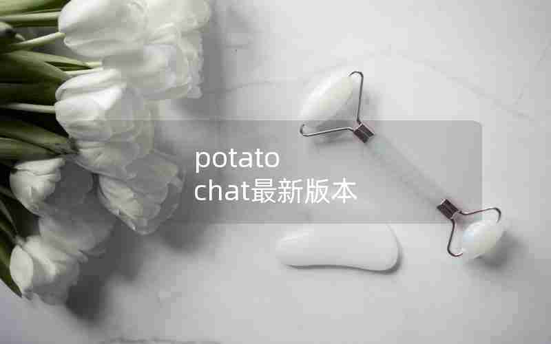 potato chat最新版本