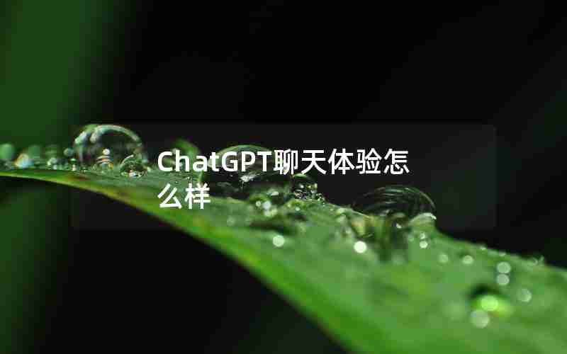 ChatGPT聊天体验怎么样