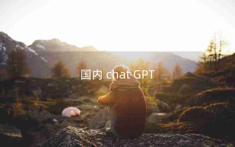 国内 chat GPT