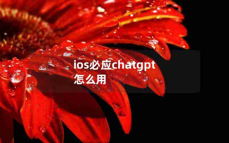 ios必应chatgpt怎么用(potato chat下载不了)