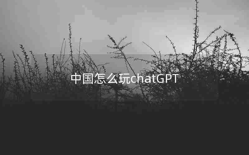 中国怎么玩chatGPT