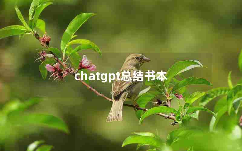 chatgpt总结书本