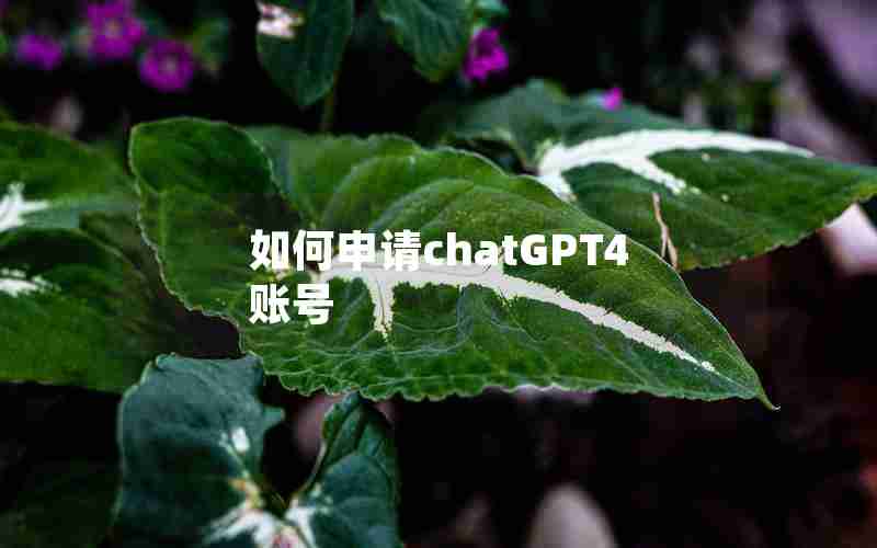 如何申请chatGPT4账号