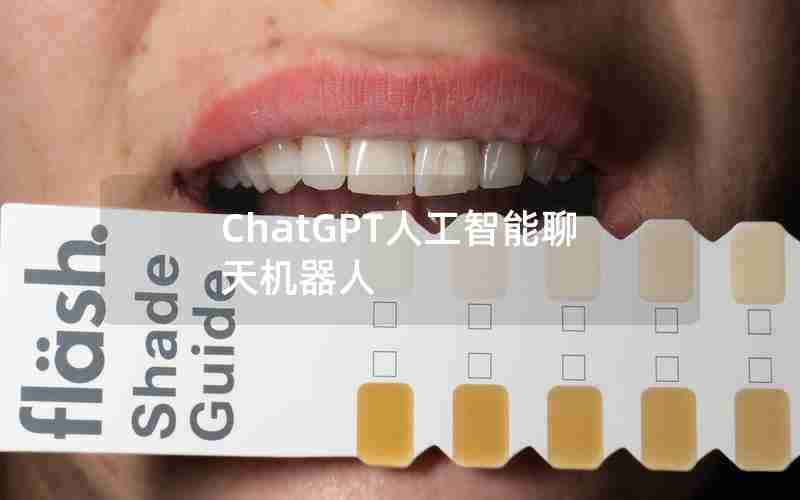 ChatGPT人工智能聊天机器人