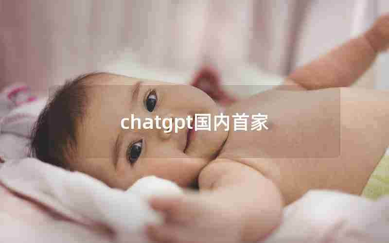 chatgpt国内首家