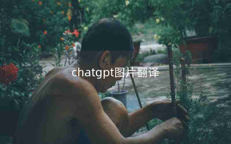 chatgpt图片翻译