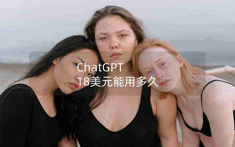 ChatGPT 18美元能用多久